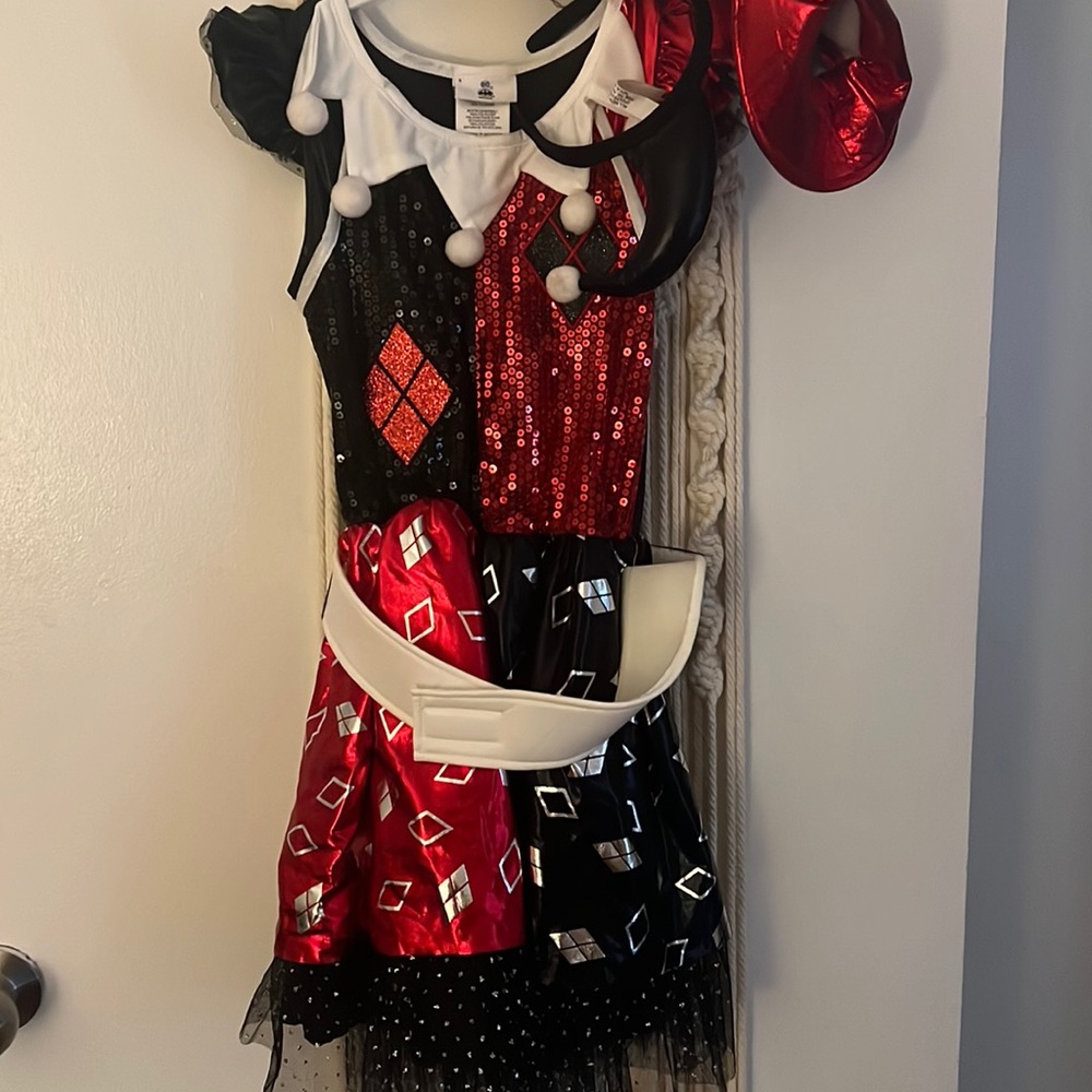 Harley Quinn costume